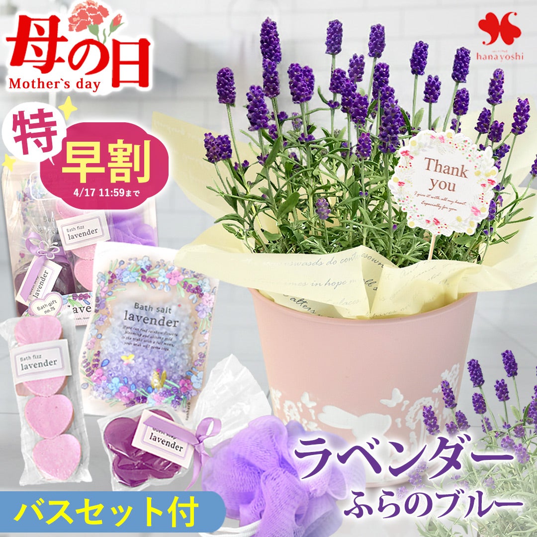 母の日フラワーギフト2026 | フラワーマーケット花由公式サイト