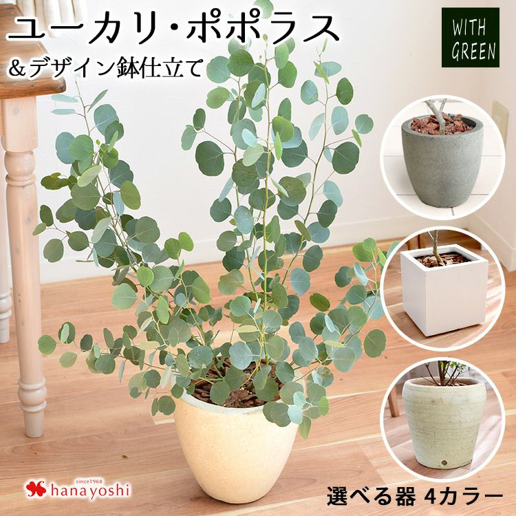 000000001005-01.jpg?size=m&w=