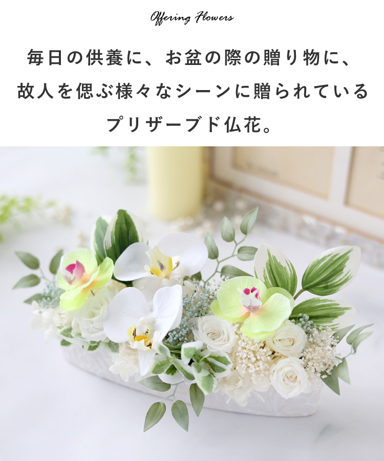送料無料 お供え 仏花 プリザーブドフラワー ファレノ | フラワー