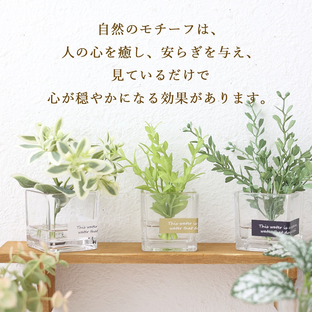 NEW マジカルウォーター グラスガーデン アートグリーン 3個以上で送料