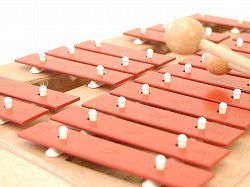 鉄琴 ゾノア社(SONOR) 二段メタルフォン NG30 木のおもちゃHANA