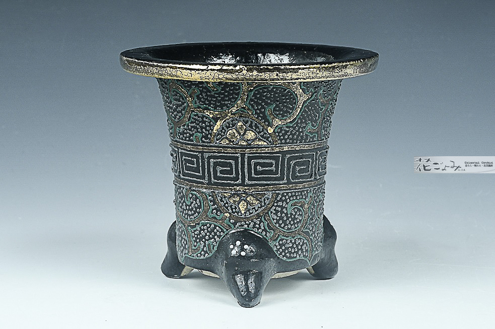 まるで古鉢！【古鉢写し京樂万年青錦鉢】2,5寸 - 東洋蘭専門店