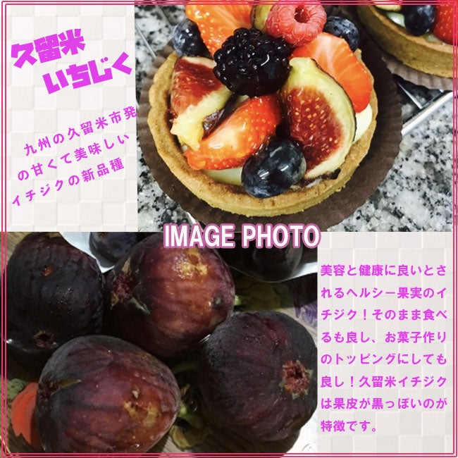 000000049517-03.jpg?size=l&w=