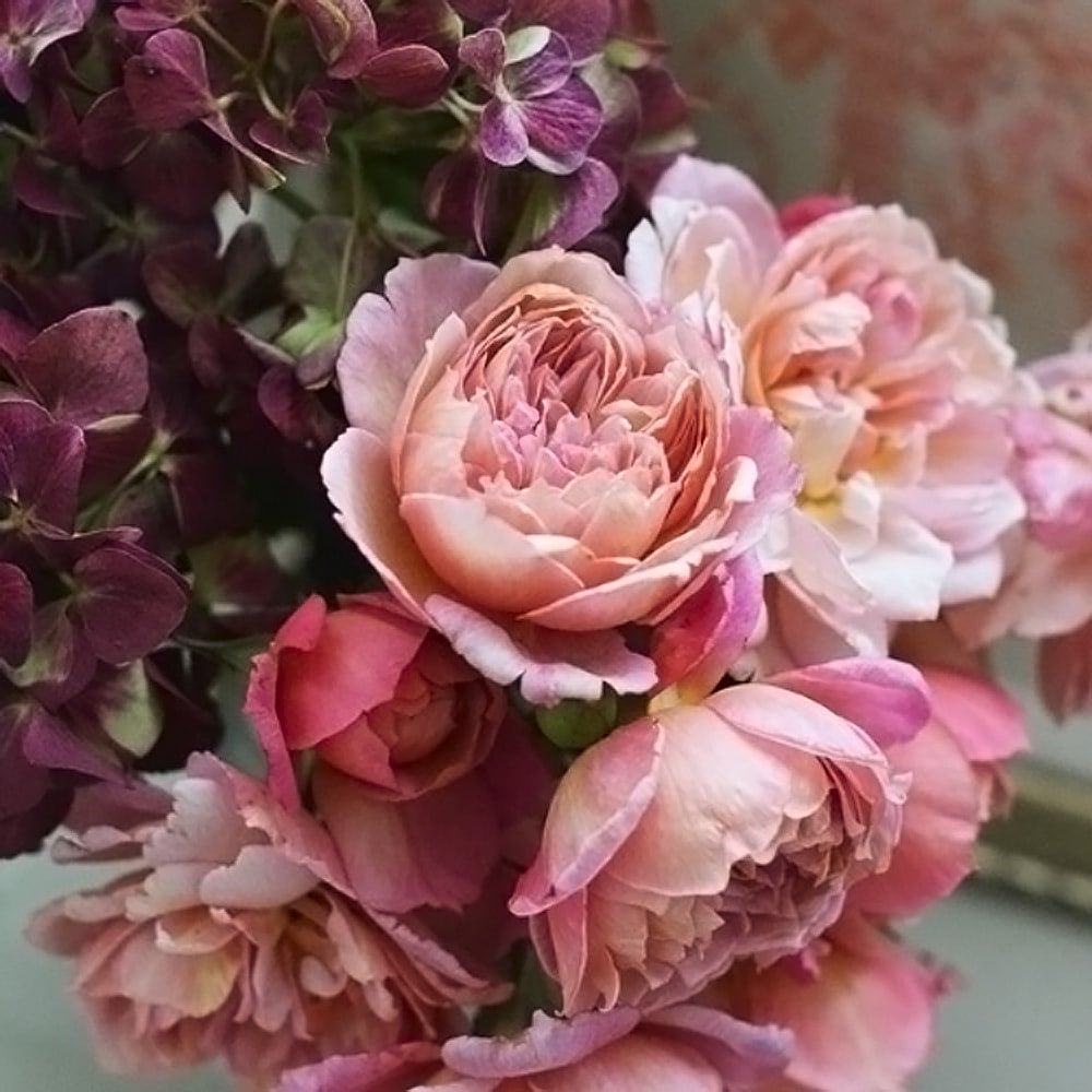 000000053085-02.jpg?size=l&w=