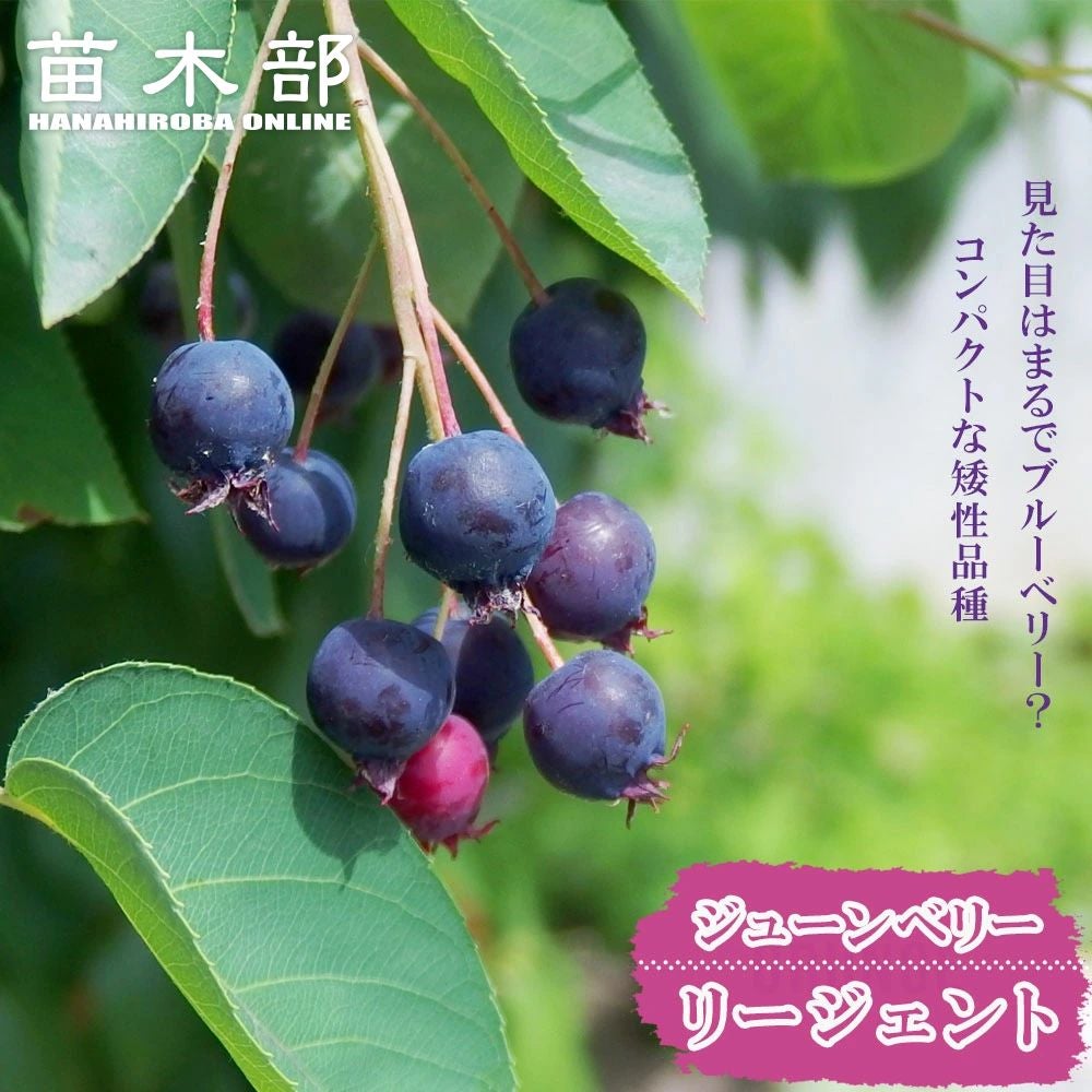 000000072116-01.jpg?size=l&w=