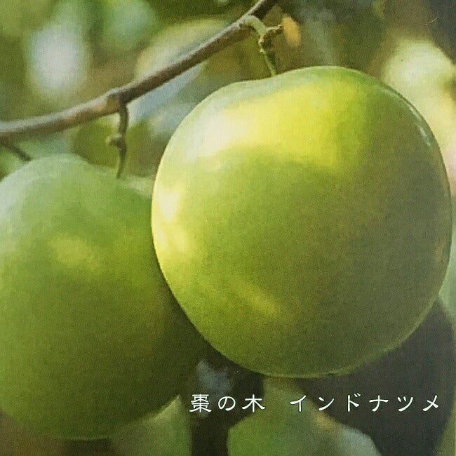 000000081468-01.jpg?size=l&w=