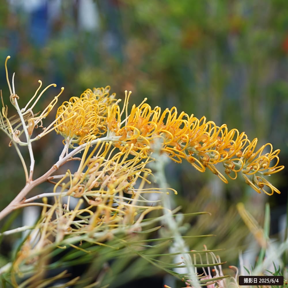 000000095638-06.jpg?size=l&w=