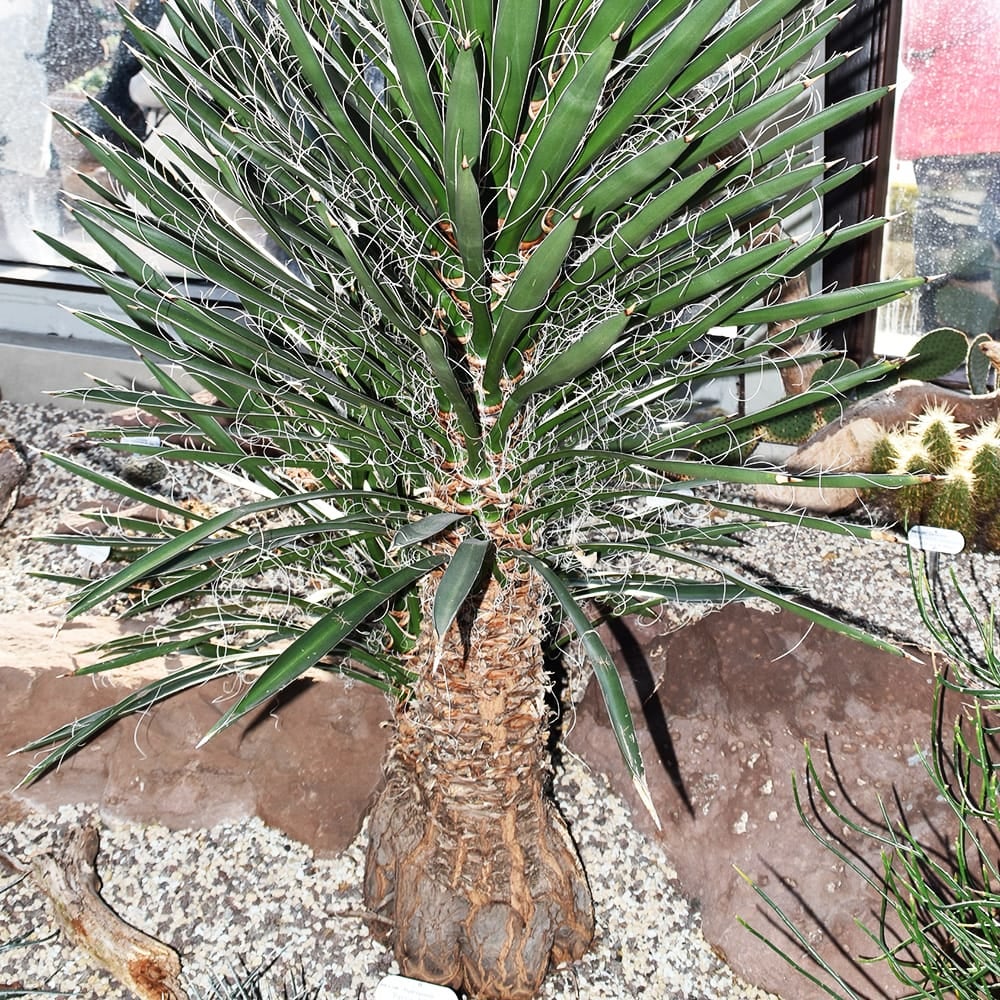 000000096098-06.jpg?size=l&w=