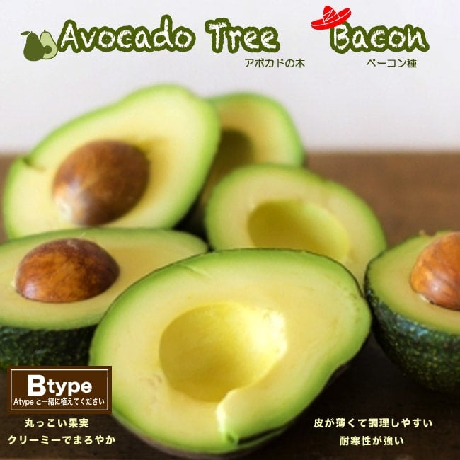 000000103609-01.jpg?size=l&w=