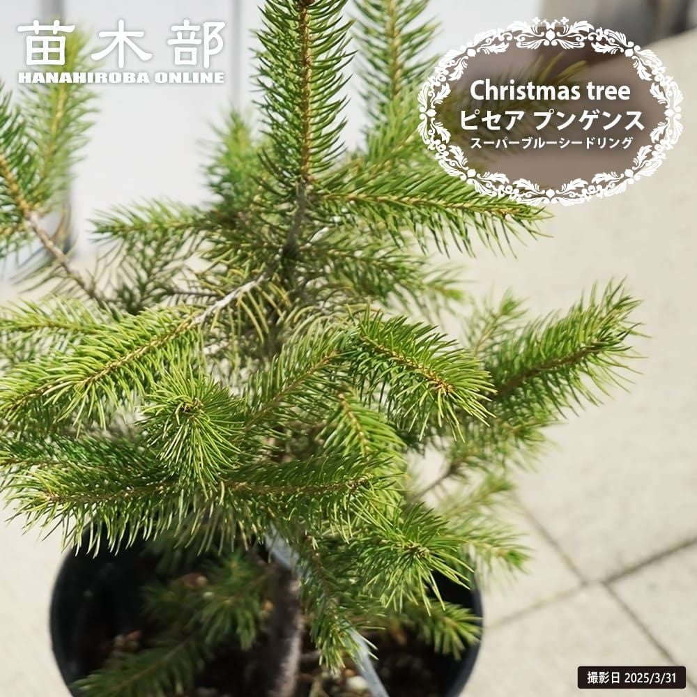 000000105556-01.jpg?size=l&w=