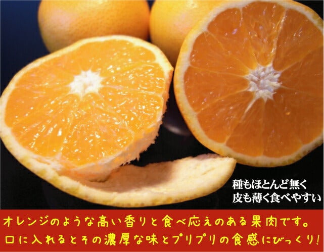 000000015630-06.jpg?size=l&w=