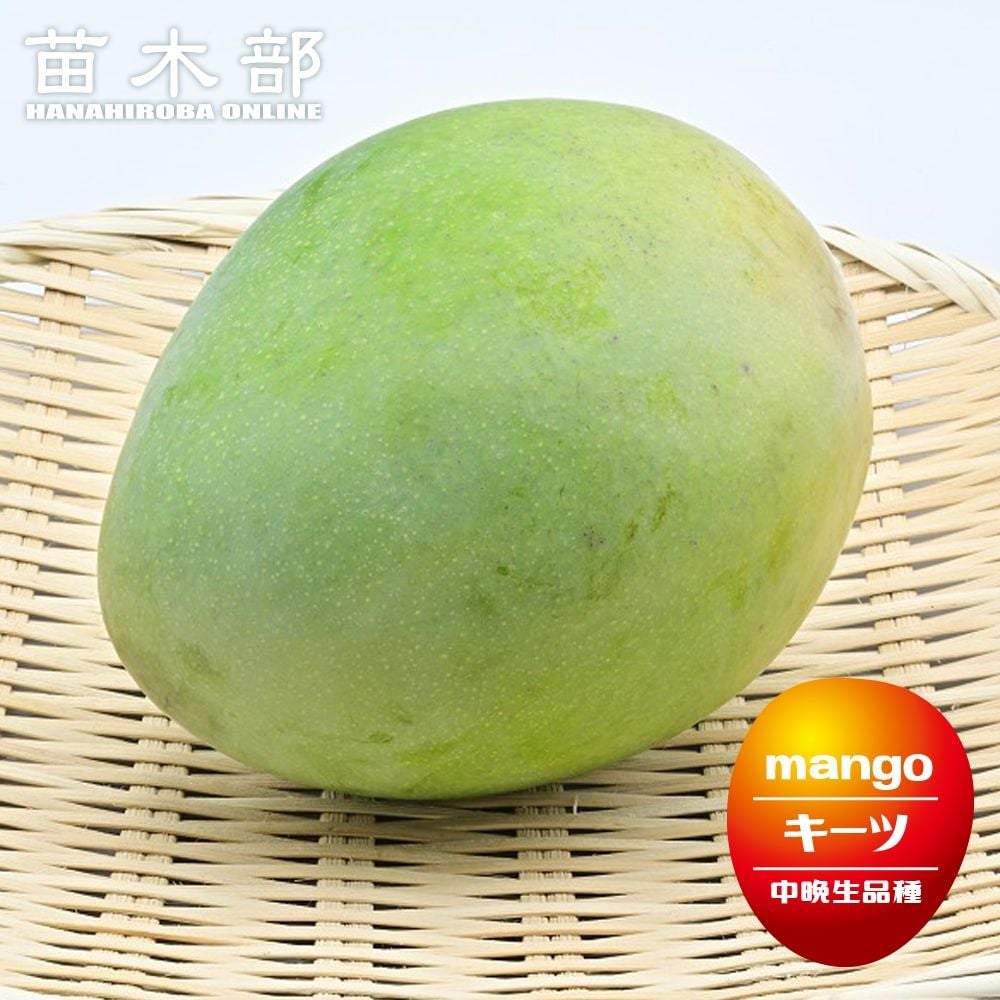 000000015325-01.jpg?size=l&w=