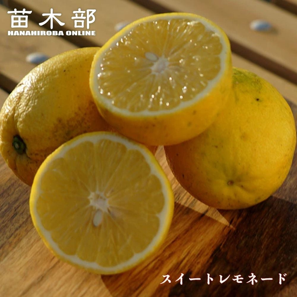 000000015902-01.jpg?size=m&w=