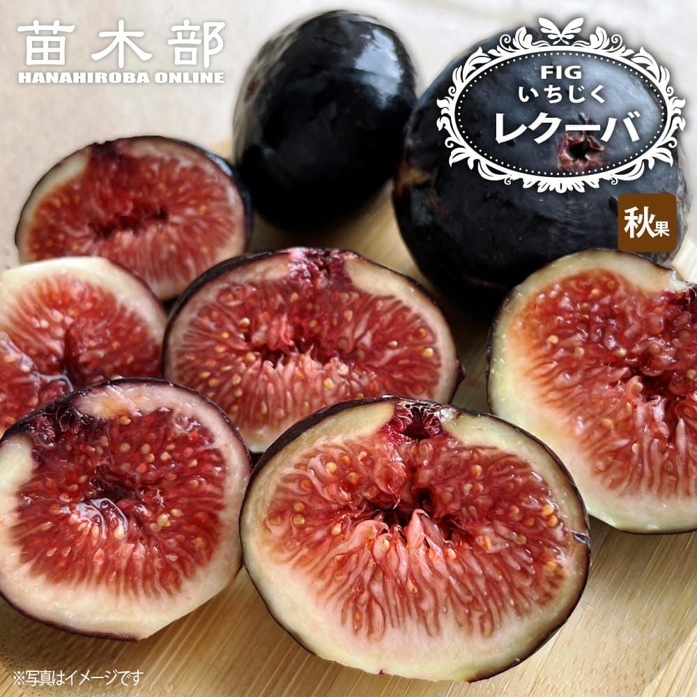 000000119639-01.jpg?size=m&w=