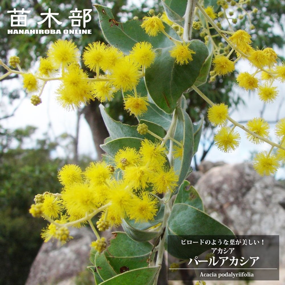 000000023140-01.jpg?size=m&w=