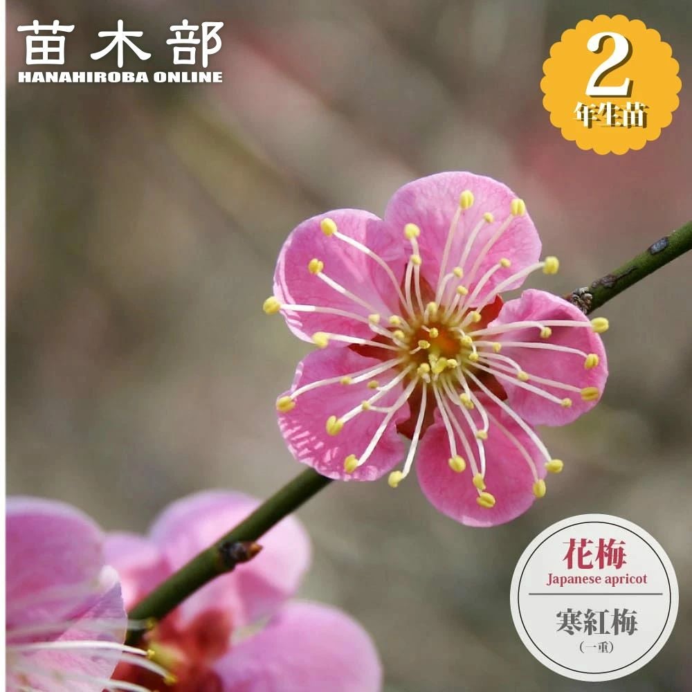 000000136171-01.jpg?size=l&w=