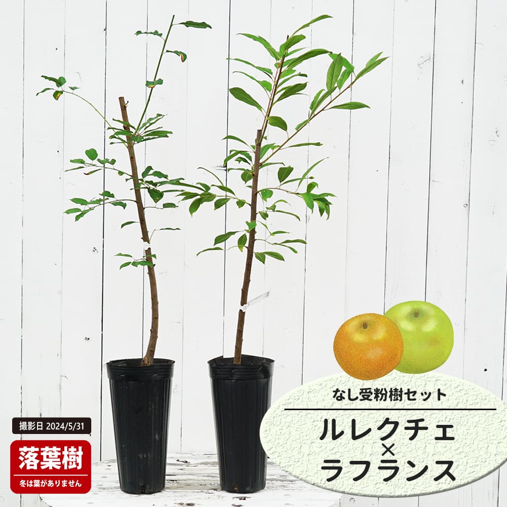 DOMANI ドマーニ ZINC CUBE HZCR40 鉢 プランター