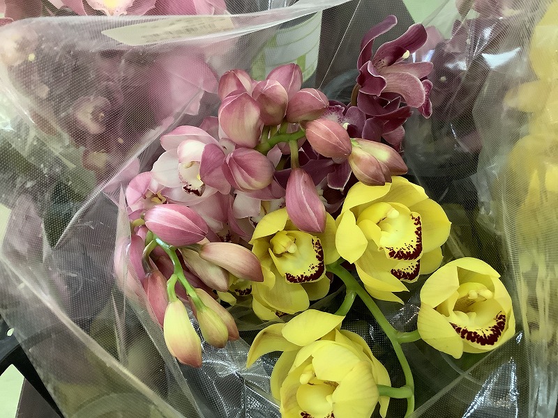 シンビジューム鉢・切り花まだまだあります。 | 花の里いいじま