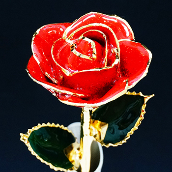 ゴールドプレスティージ｜福岡県北九州市若松区のお花屋 若松 花のチモト