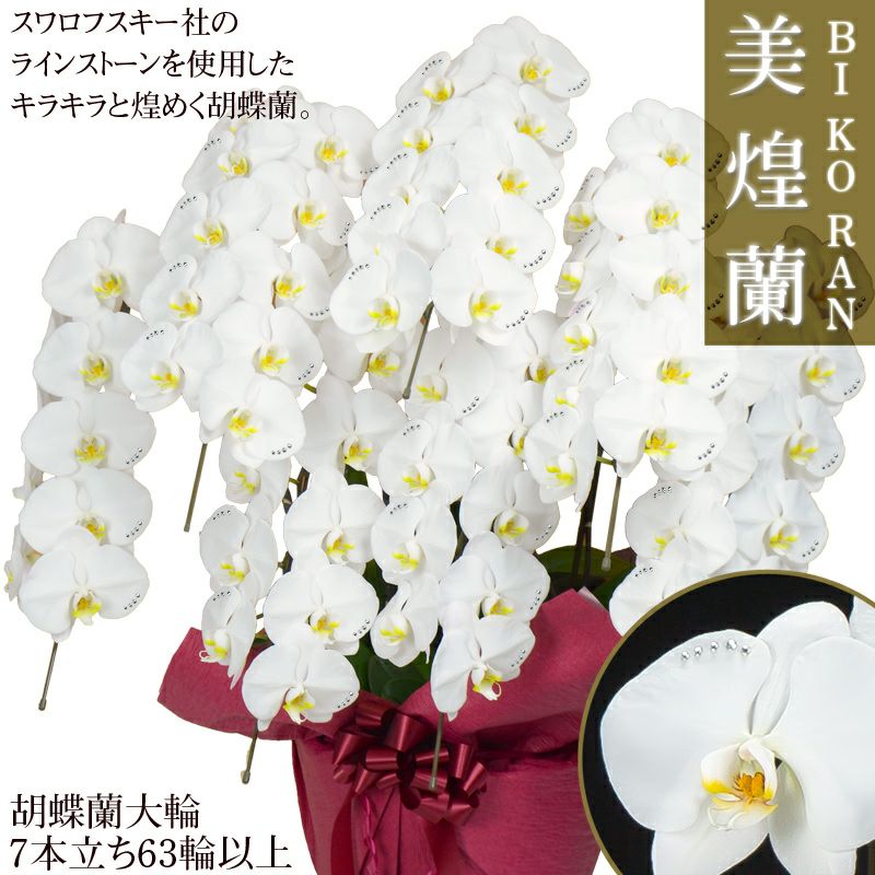 はなやかオリジナル☆美煌蘭 スワロフスキー付き胡蝶蘭 白大輪7本立ち