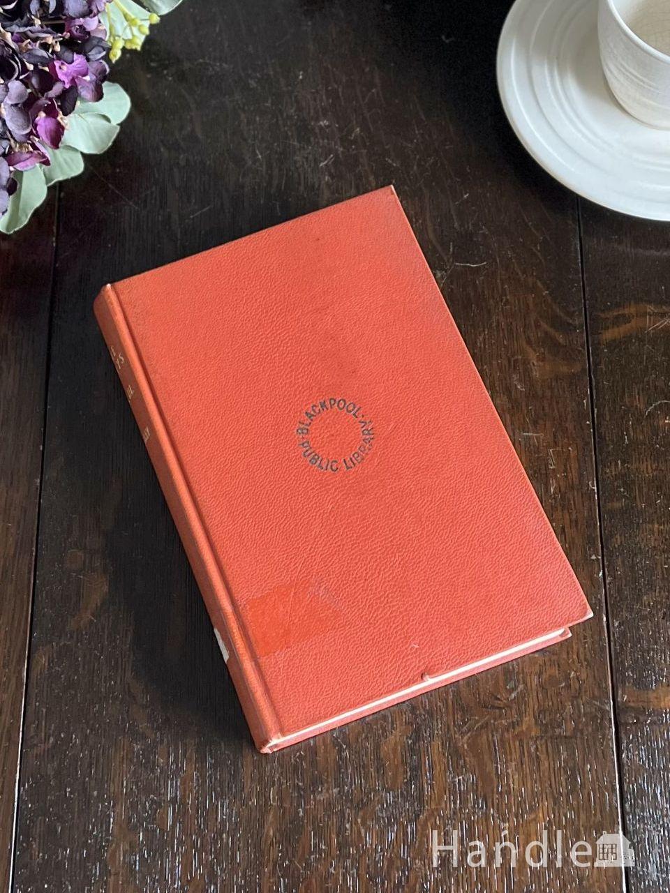 1960年代のアンティーク 植物画(m-231-z)｜アンティーク雑貨