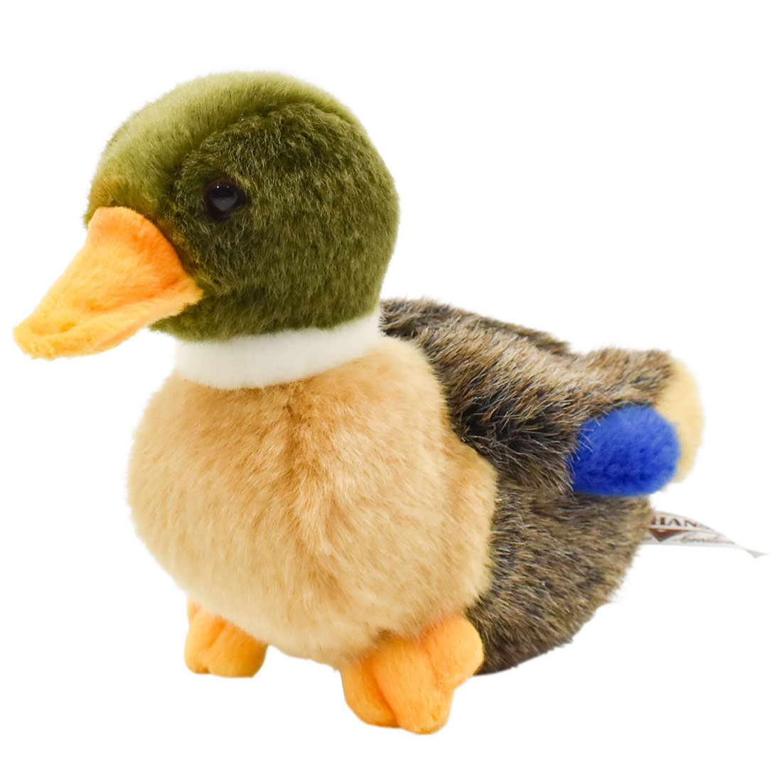 マガモ(仔) 18 | HANSA