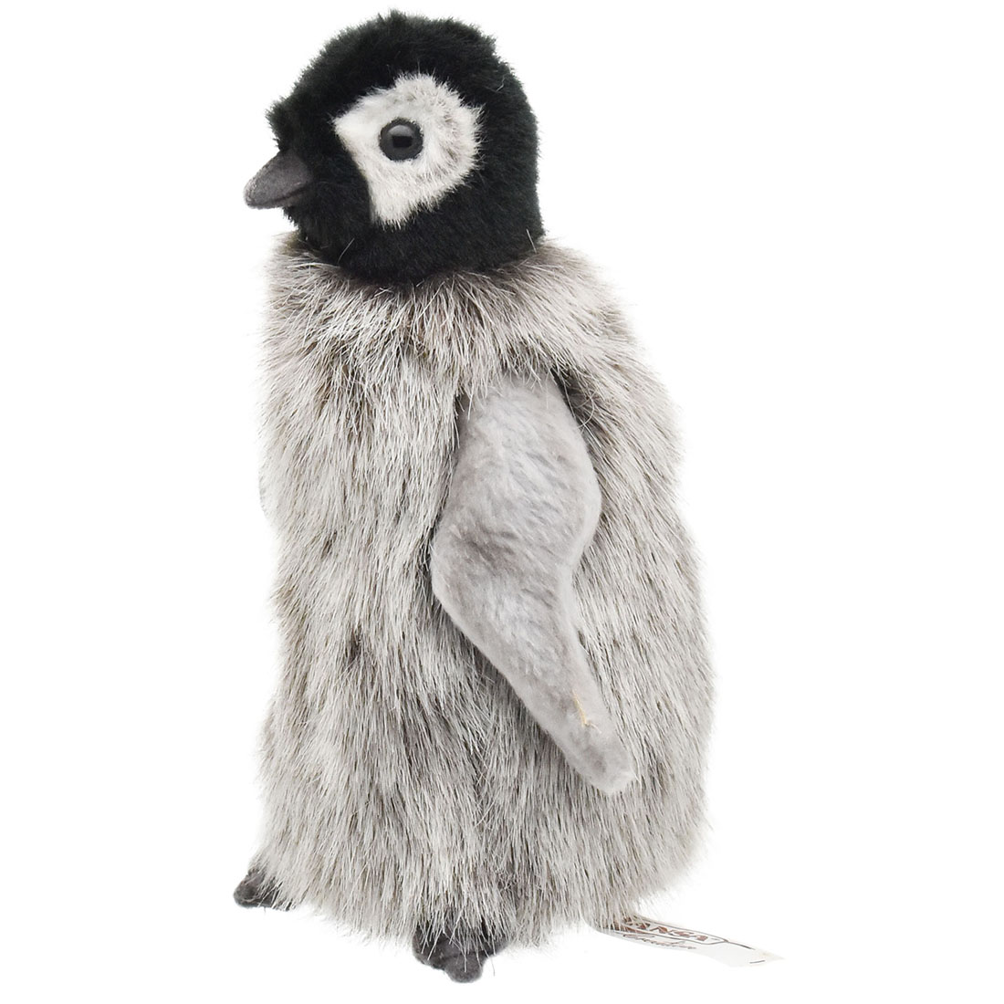 コウテイペンギン(仔) 15 | HANSA