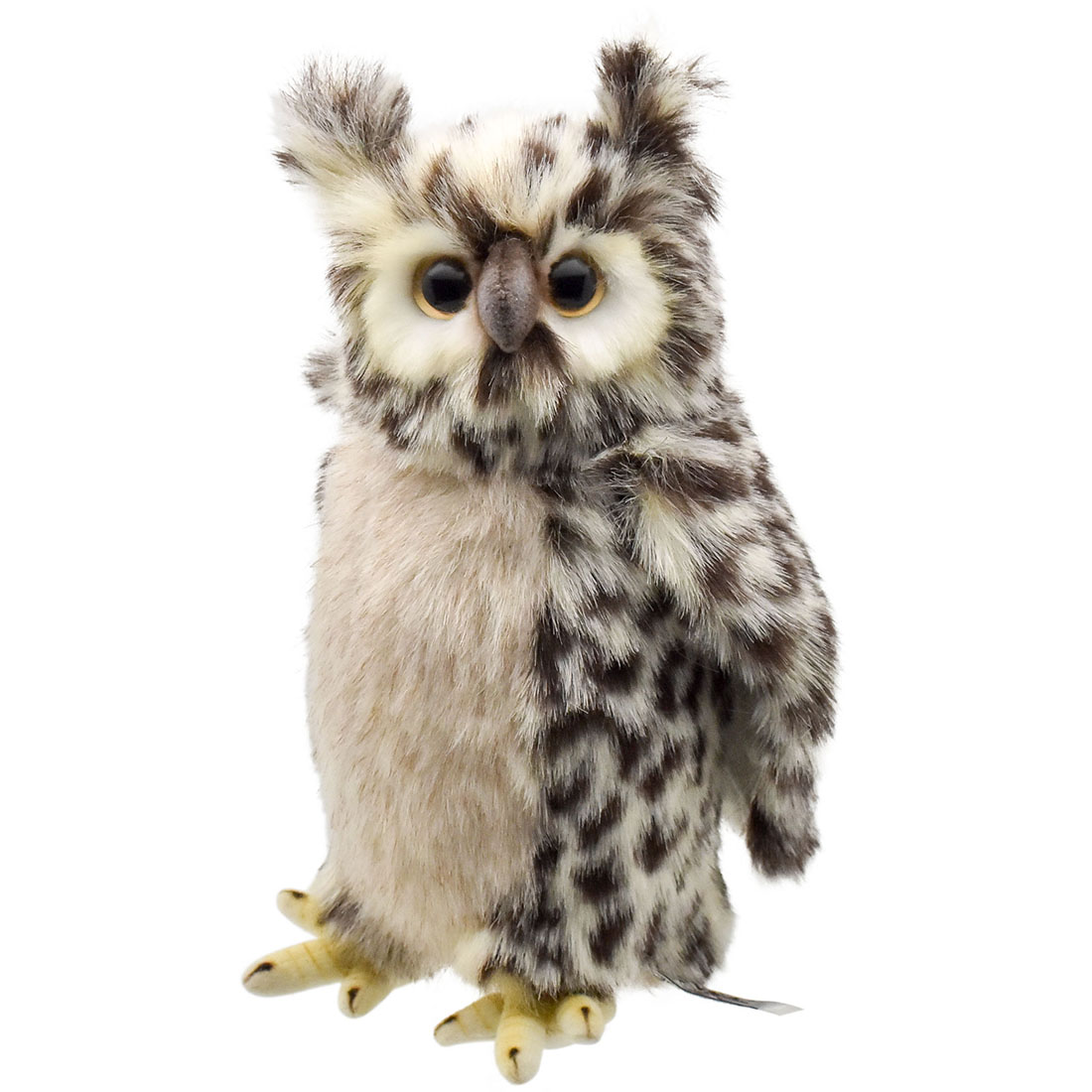 フクロウ 22 | HANSA