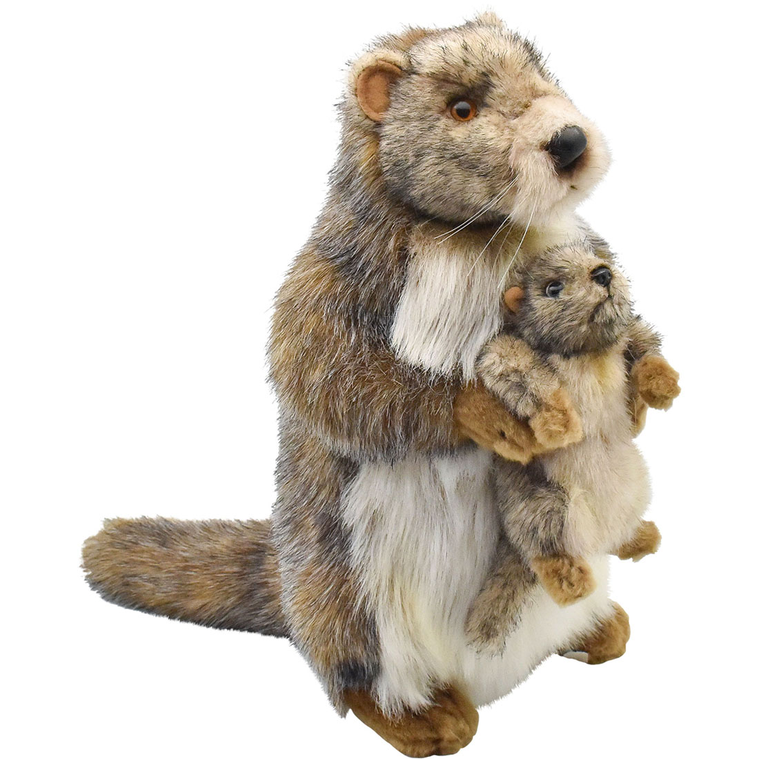 マーモット親子 35 | HANSA