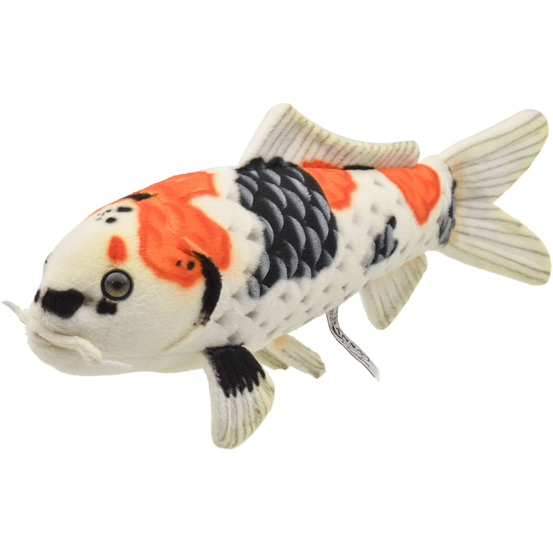 錦鯉 昭和三色 35 | HANSA