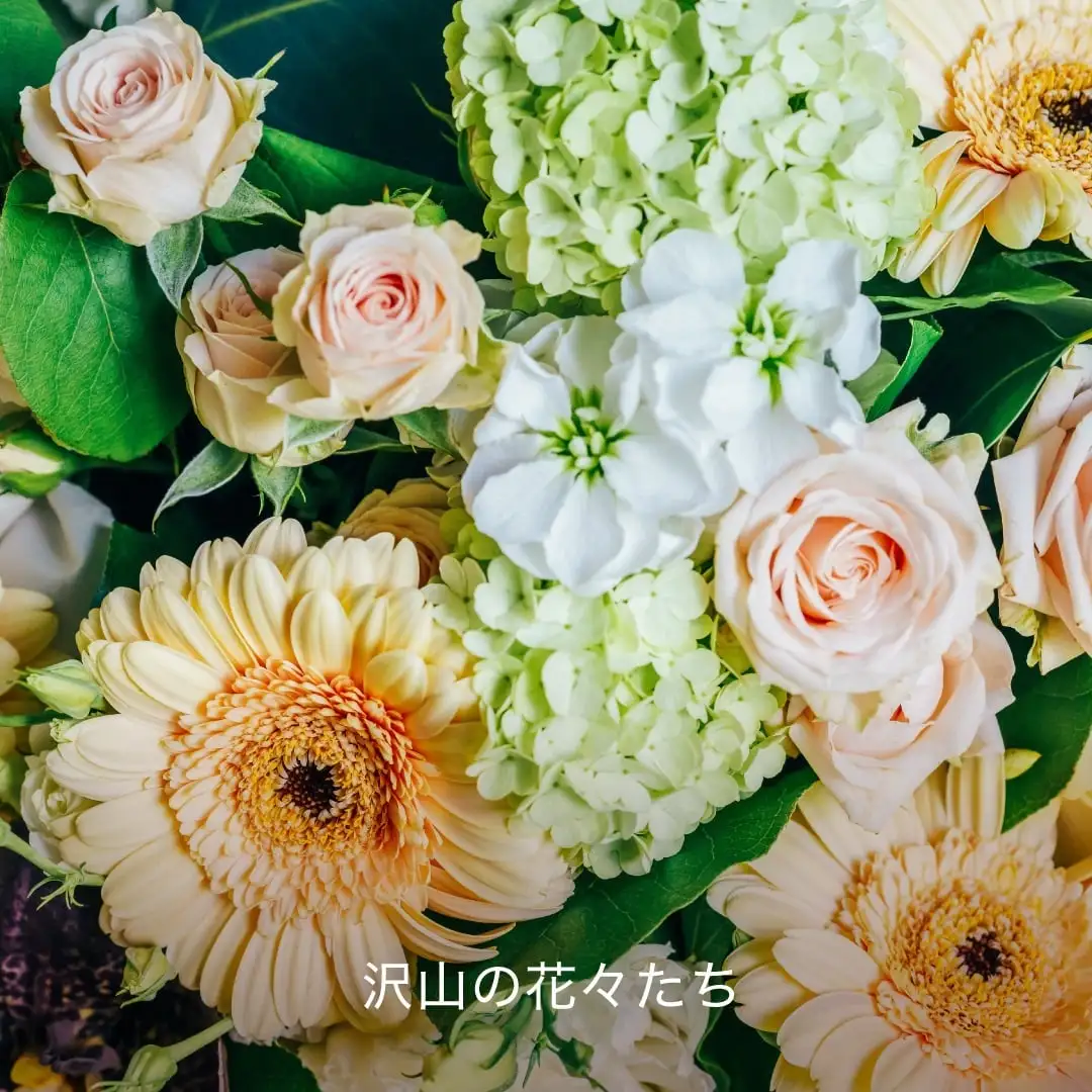 国産フラワーブーケ｜HACCI公式オンラインストア