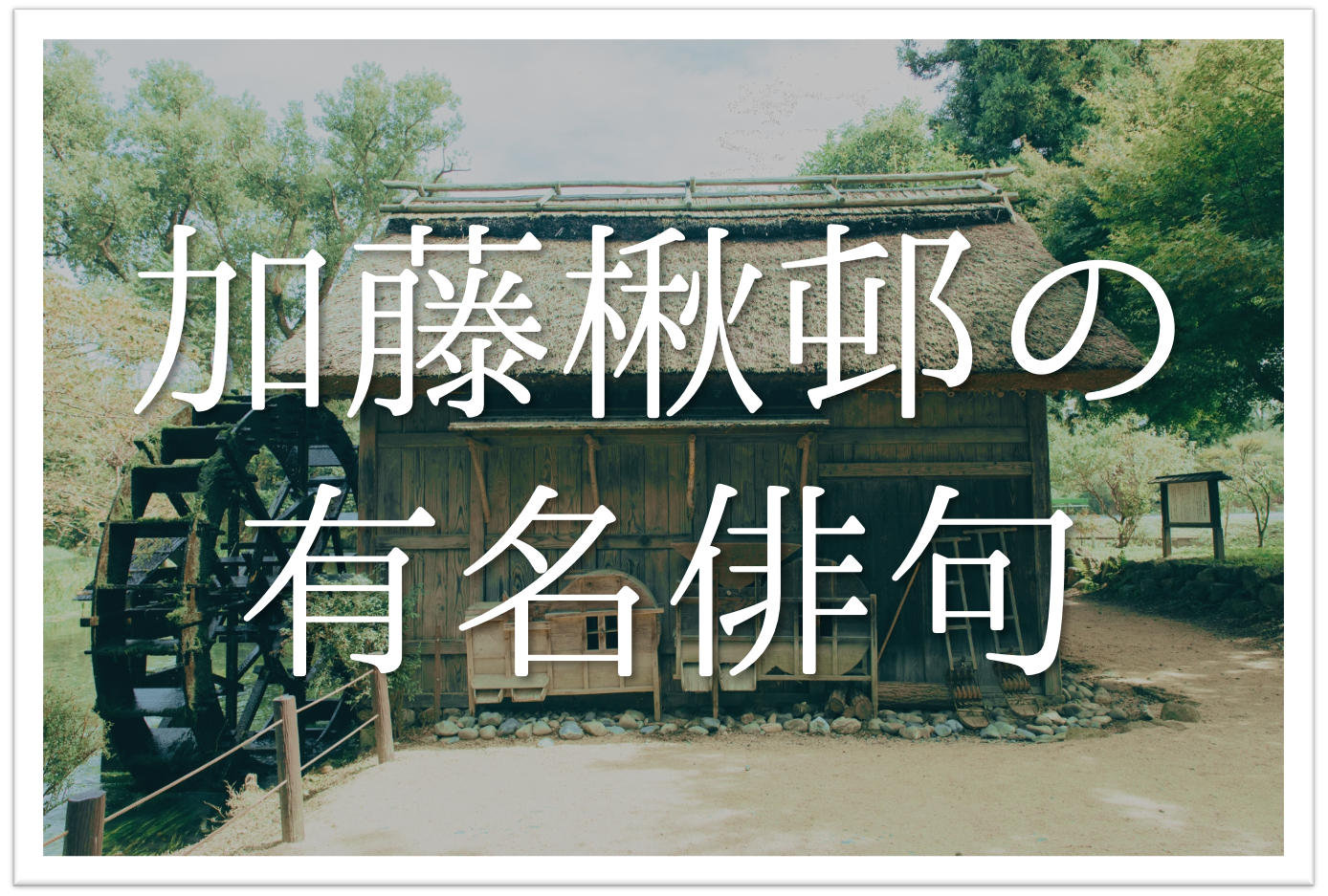 加藤楸邨の有名俳句 30選】人間探求派の俳人!!俳句の特徴や人物像