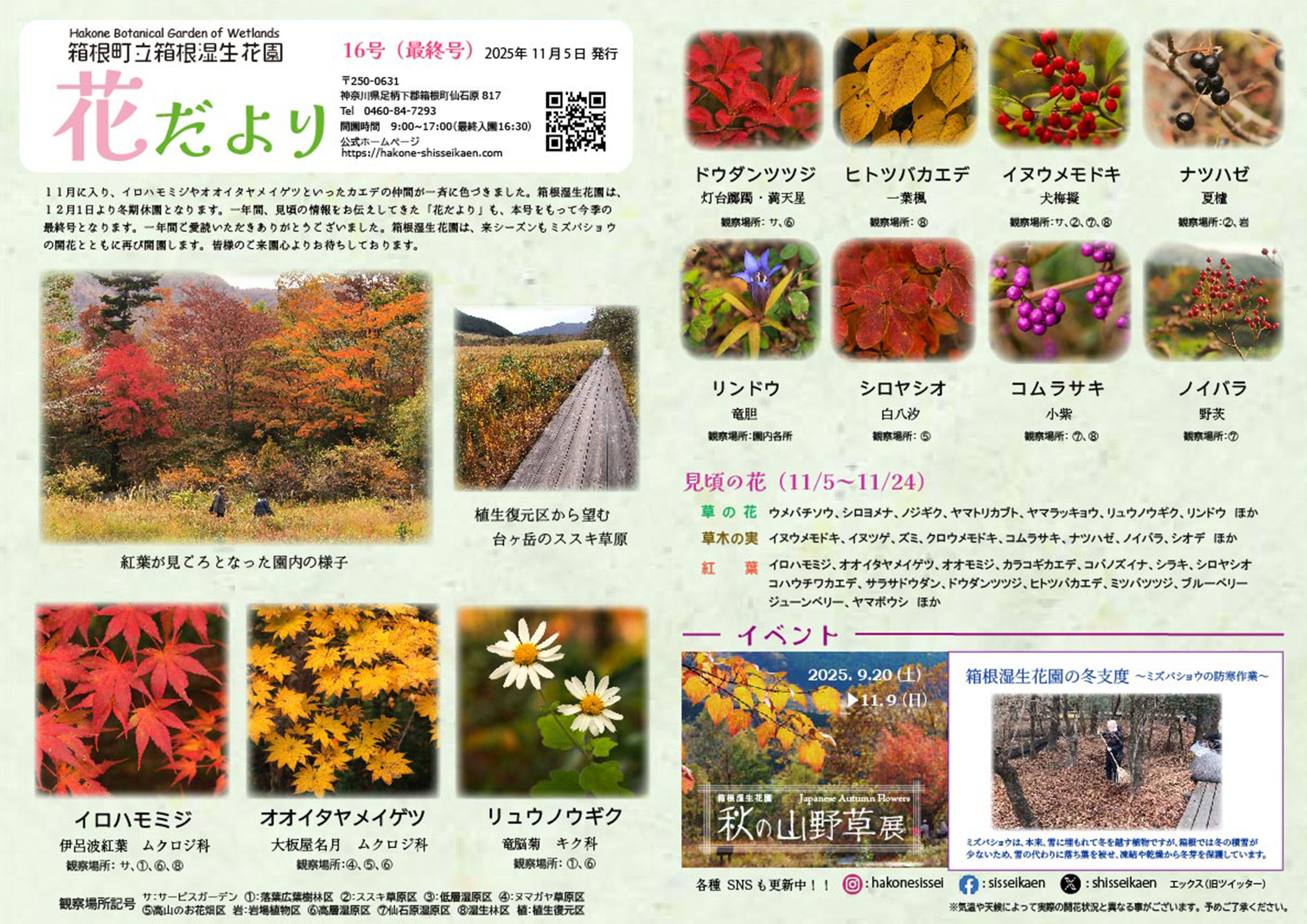 箱根湿生花園【公式】SHISSEIKAEN