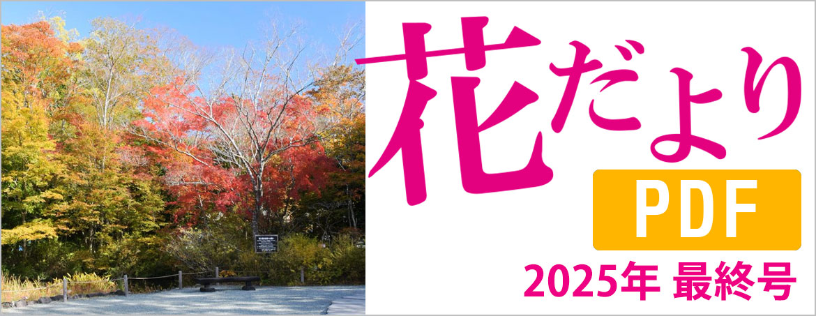 箱根湿生花園【公式】SHISSEIKAEN