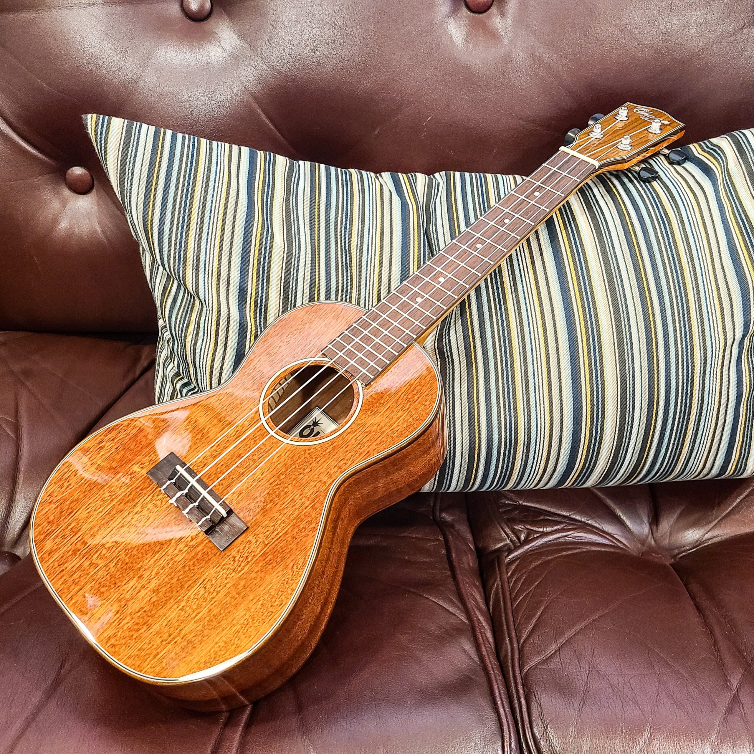 Ohana『CK-35G』 コンサートウクレレ (全マホガニー単板・艶あり塗装