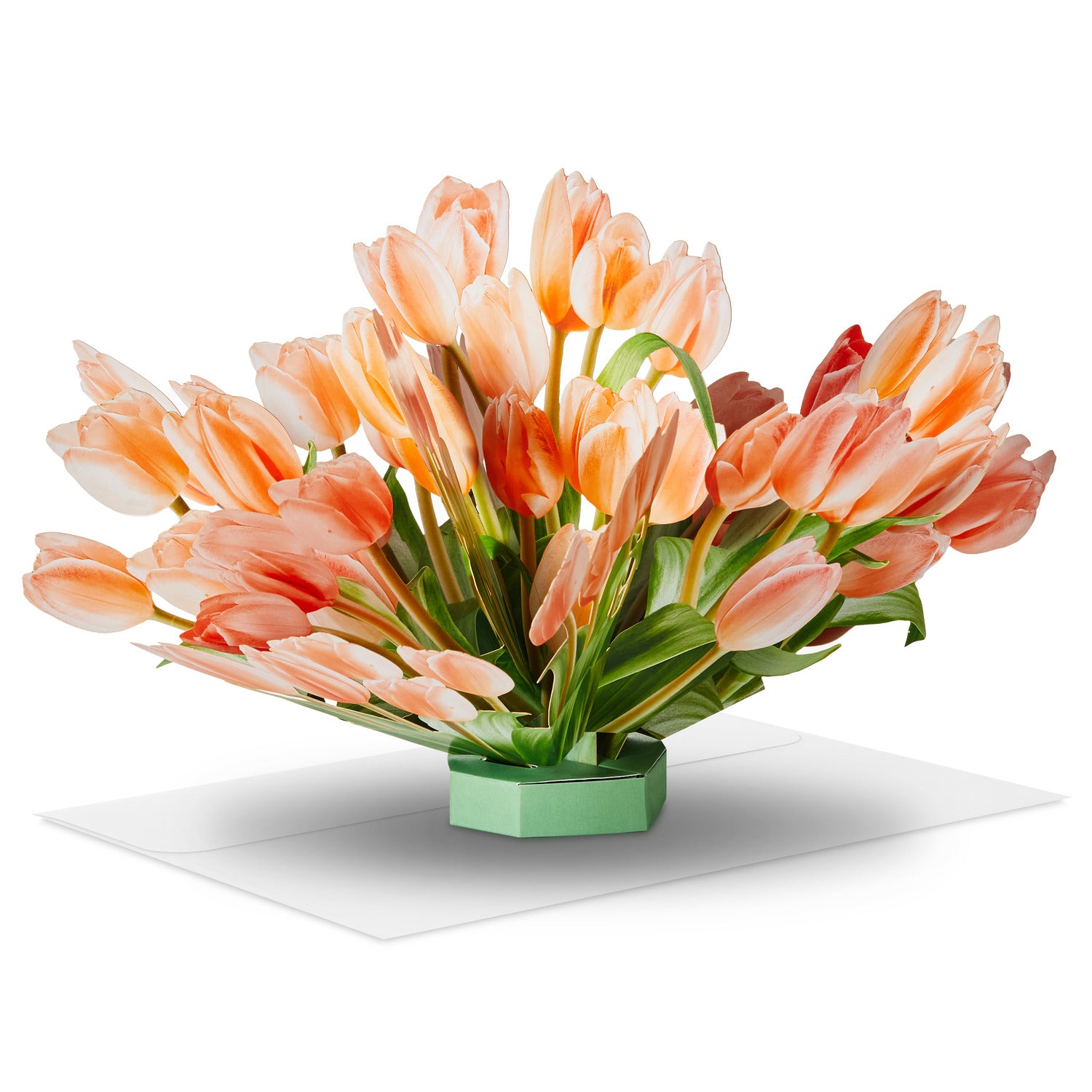 ビルド・ア・ブーケ チューリップ｜ベースとお花を選んで飾れる立体