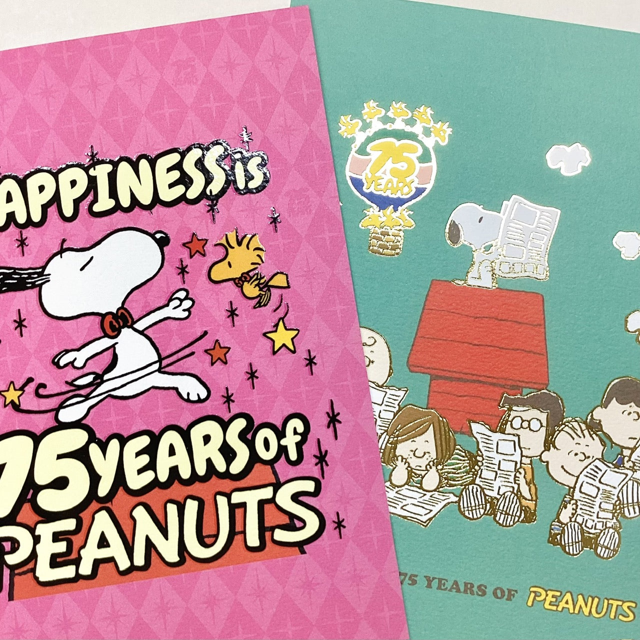 851170_11.jpg?v=1759901334&