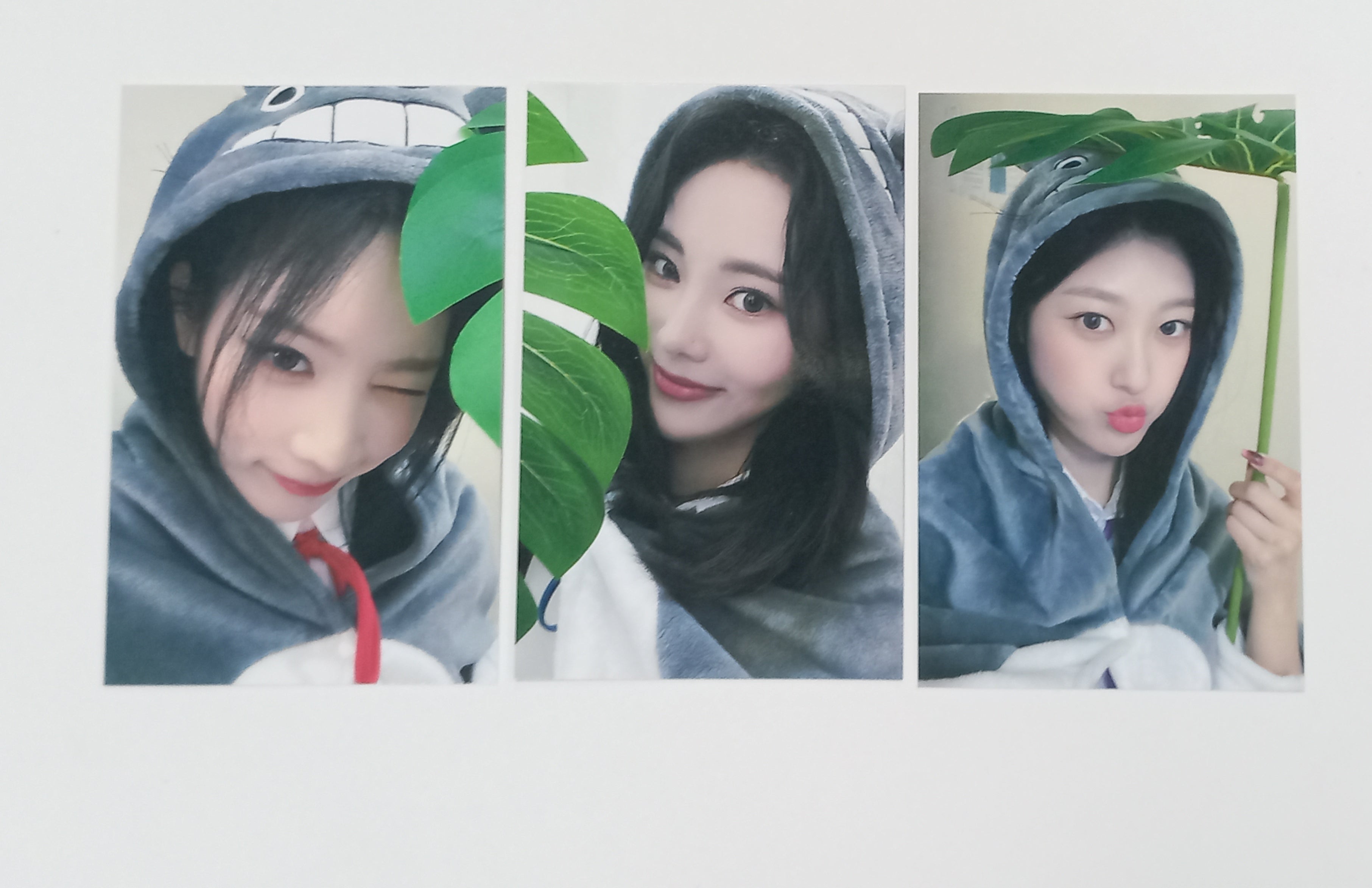 ODD EYE CIRCLE - HALLYUSUPERSTORE