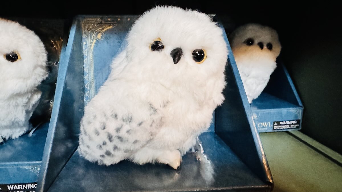 USJで声に反応！「動くヘドウィグ」が再入荷して魔法界で大人気