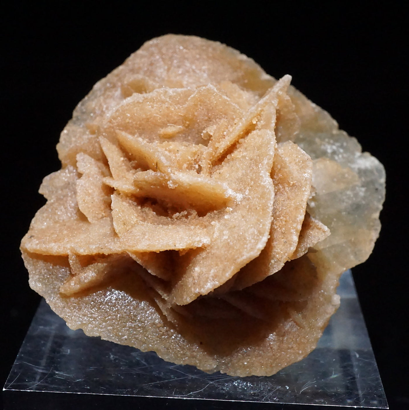 モロッコ産 砂漠のバラ(Desert Rose) 重晶石 – 天然石ハッピーギフト