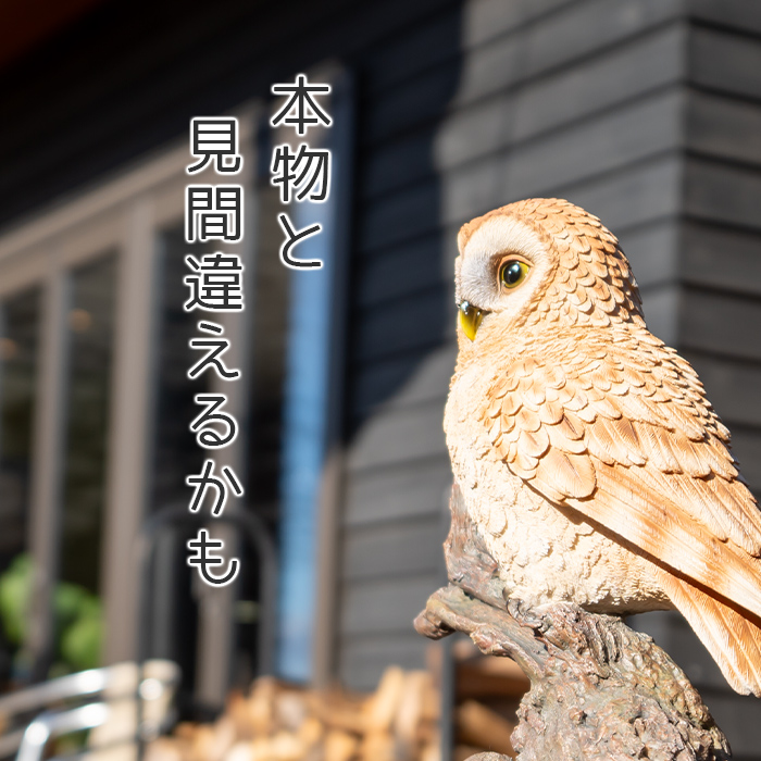木に留まるフクロウ《茶梟（32cm）》 – ガーデン用ソーラーライト専門