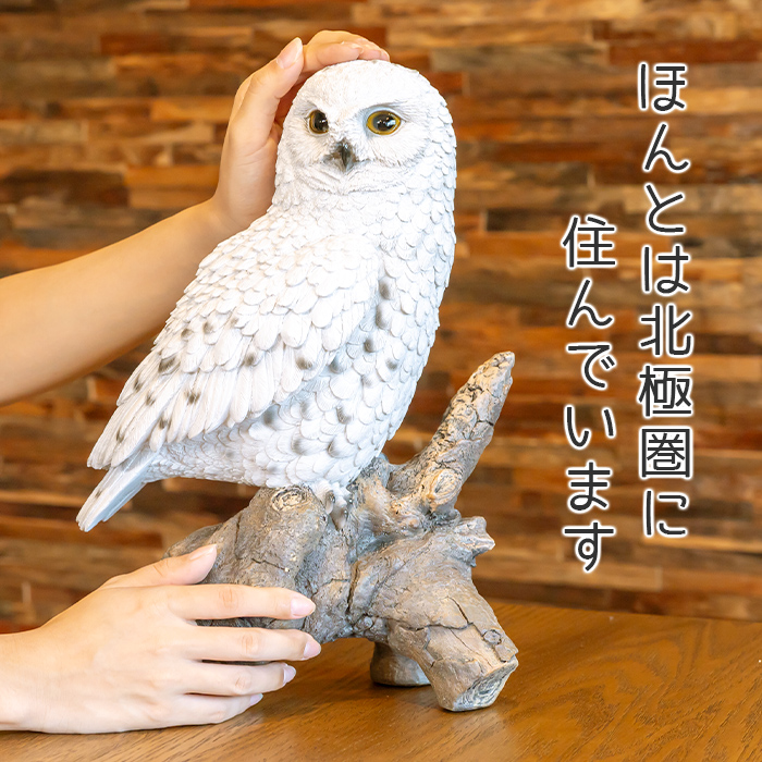 木に留まるシロフクロウ《白梟（32cm）》 – ガーデン用ソーラーライト