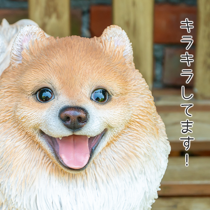 立ち上がって喜ぶわんこ《 ポメラニアン 29.5cm》 – ガーデン用
