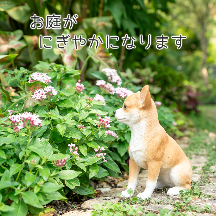 ちょこんと座るわんこ《 チワワ 23.5cm》 – ガーデン用ソーラーライト