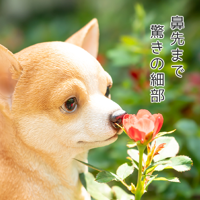 ちょこんと座るわんこ《 チワワ 23.5cm》 – ガーデン用ソーラーライト