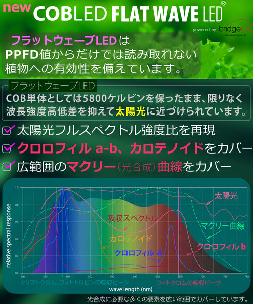 HaruDesign 植物育成LEDライト HASU38 spec9 6K 白色系 スワールボディ