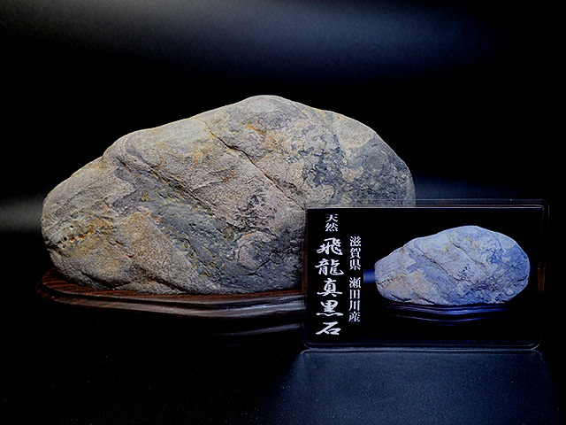 ◇天然石！瀬田川産：真黒石／龍神様：標本，鑑賞石／台座付No,100