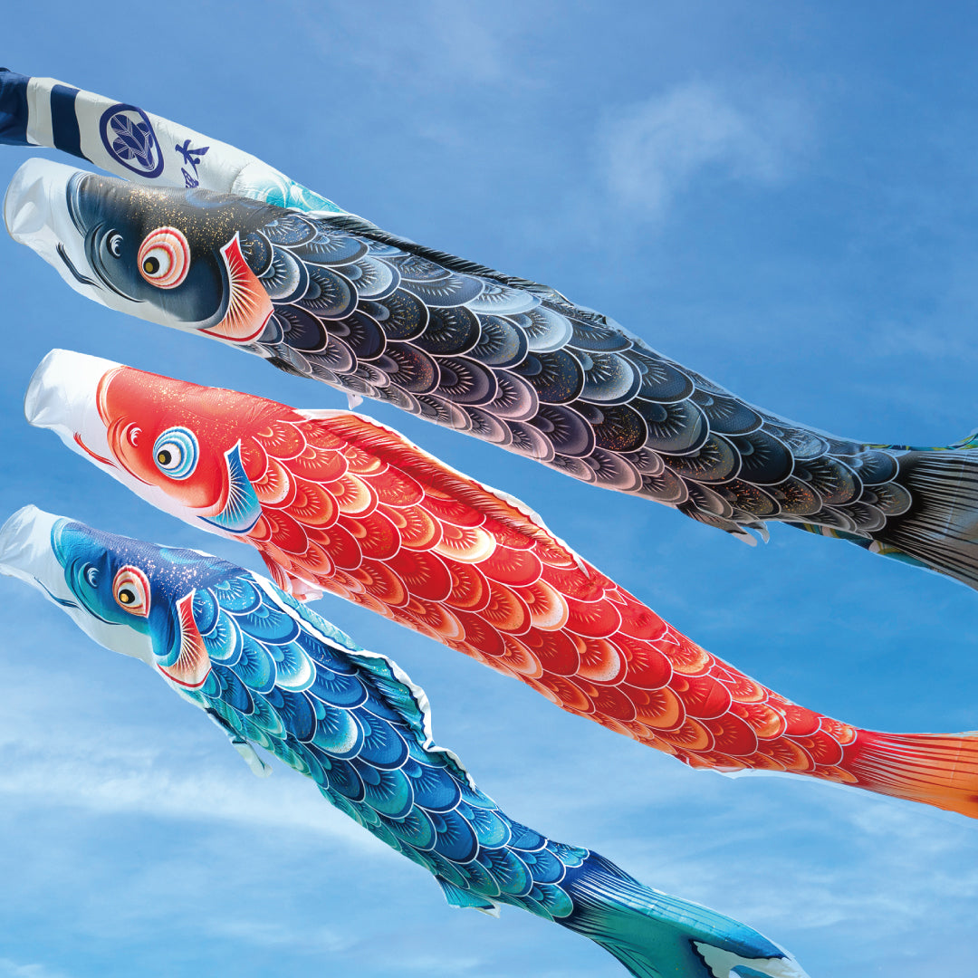 大型鯉のぼりセット – 晴れと暮らす