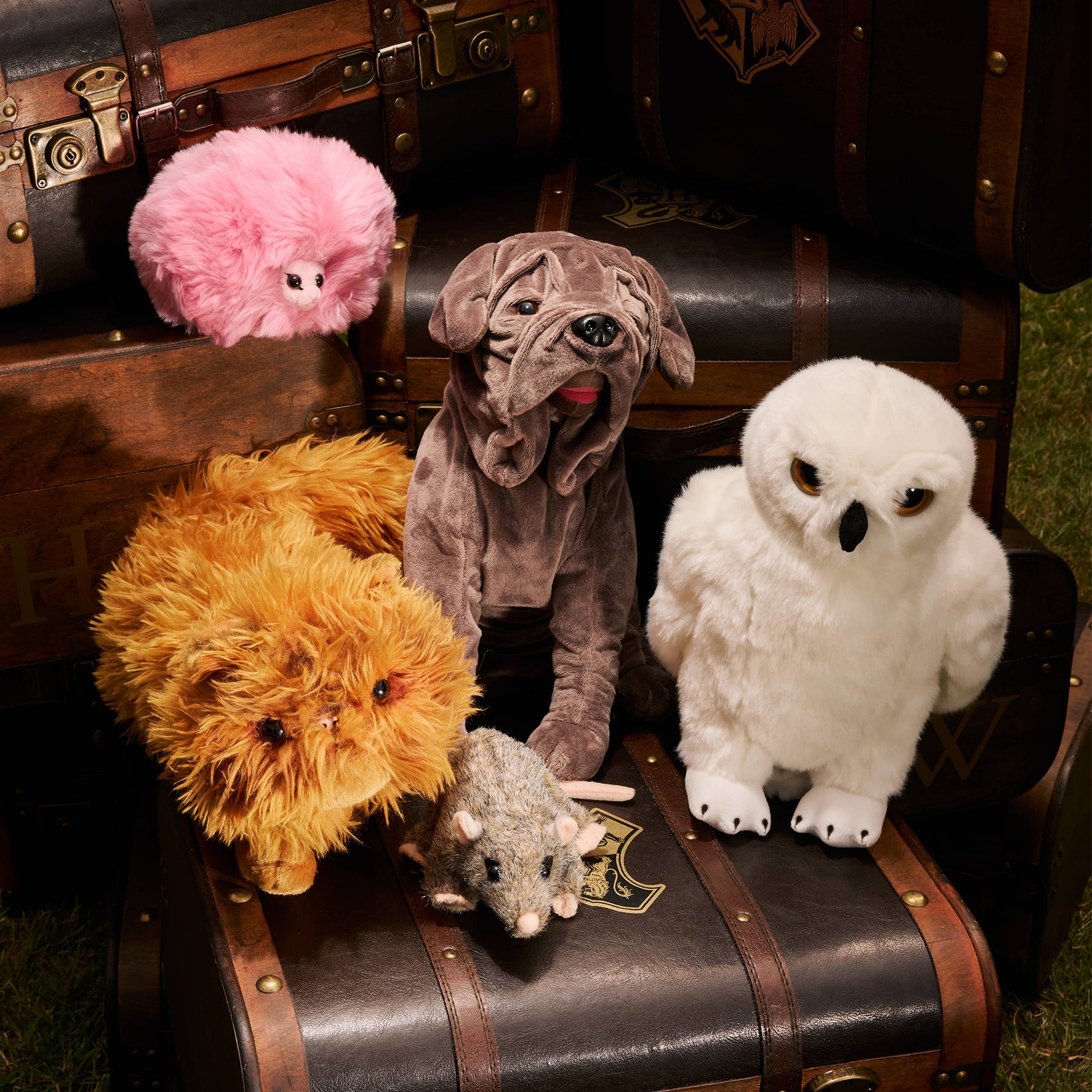 ファング ボアハウンド ぬいぐるみ｜ハリー・ポッター ショップ