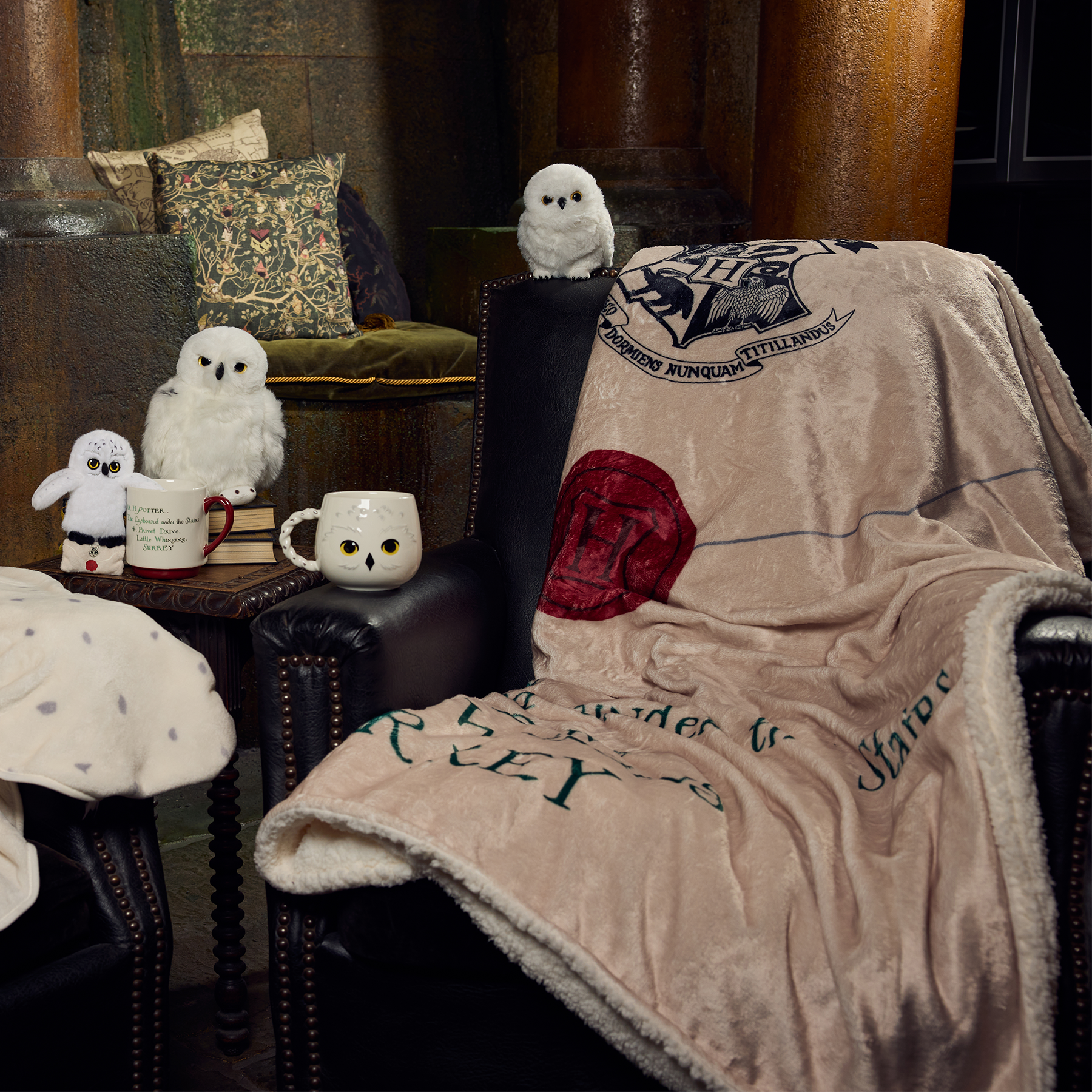 ホグワーツ入学許可証 ブランケット｜ハリー・ポッター ショップ